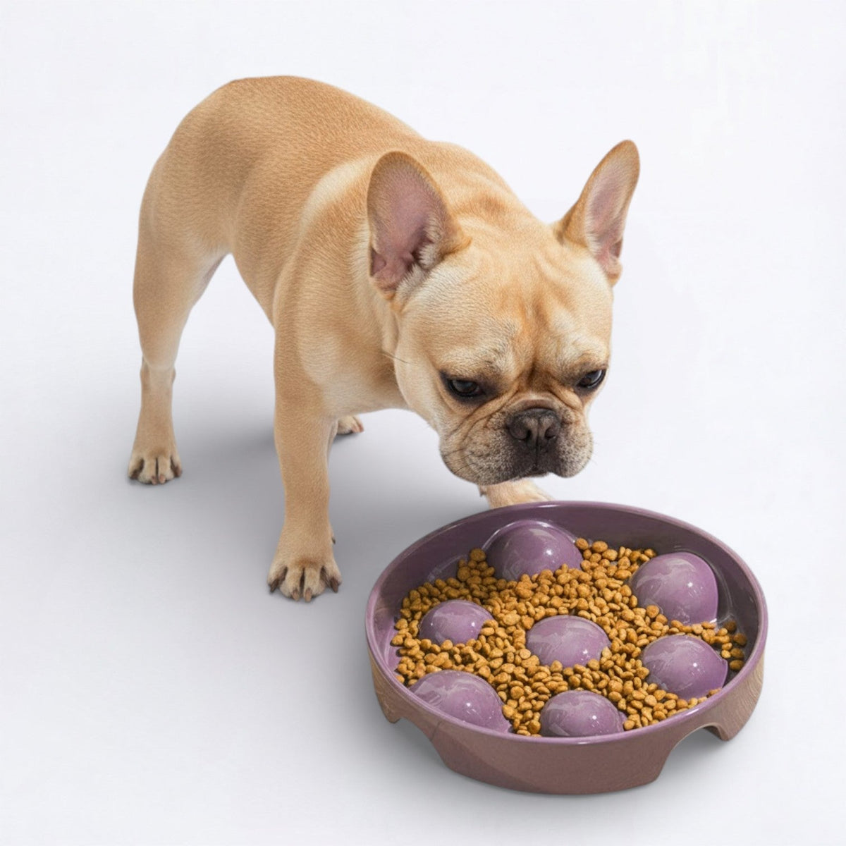 Anti-Choking-Ceramic-Dog-Puzzle-Feeder.jpg