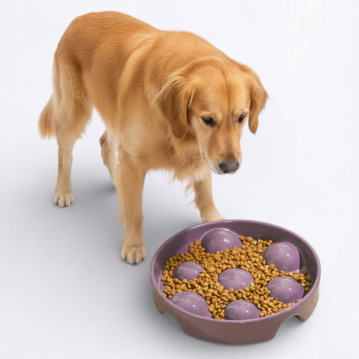 Anti-Choking-Ceramic-Dog-Puzzle-Feeder.jpg