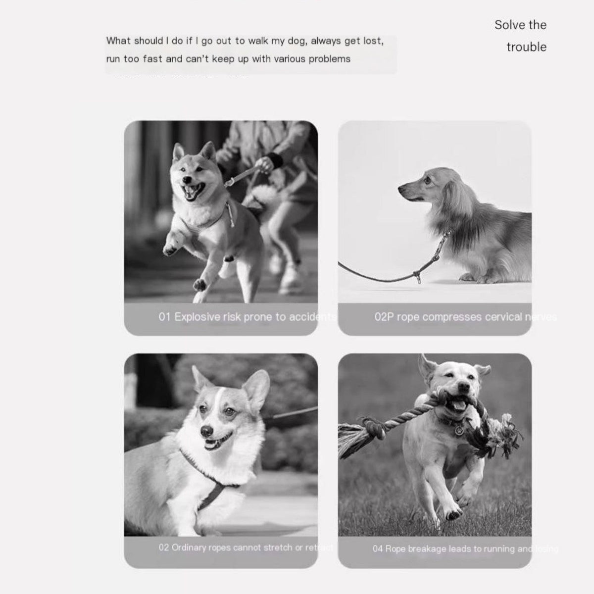 Automatic-Extendable-Dog-Leash.jpg