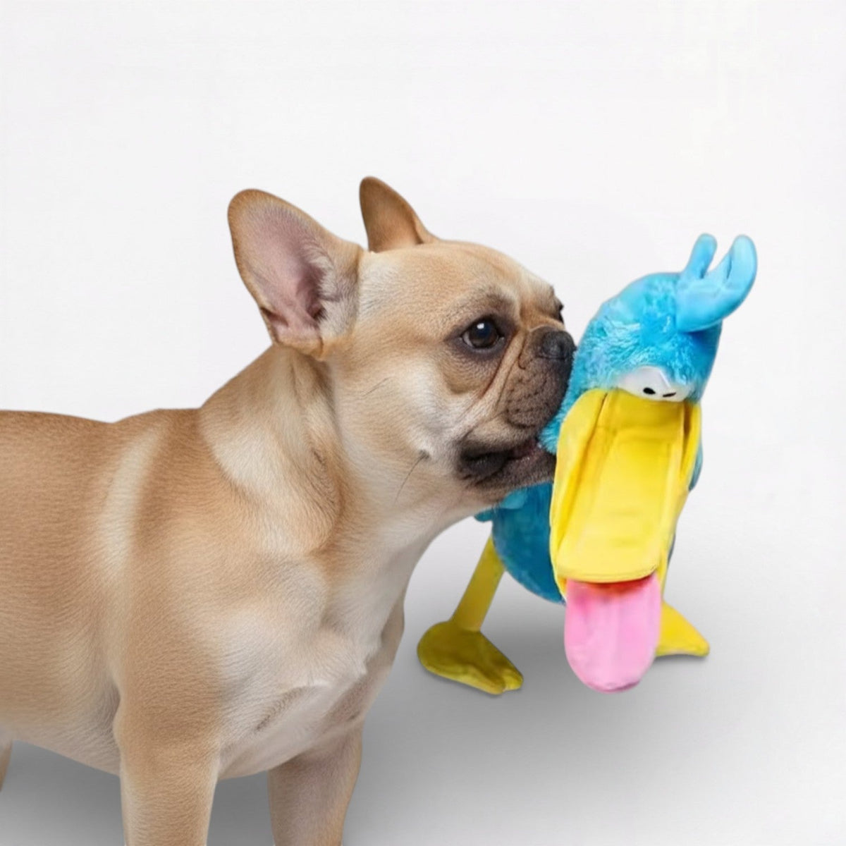 Big-DaDa-Bird-Squeaky-Dog-Toy.jpg