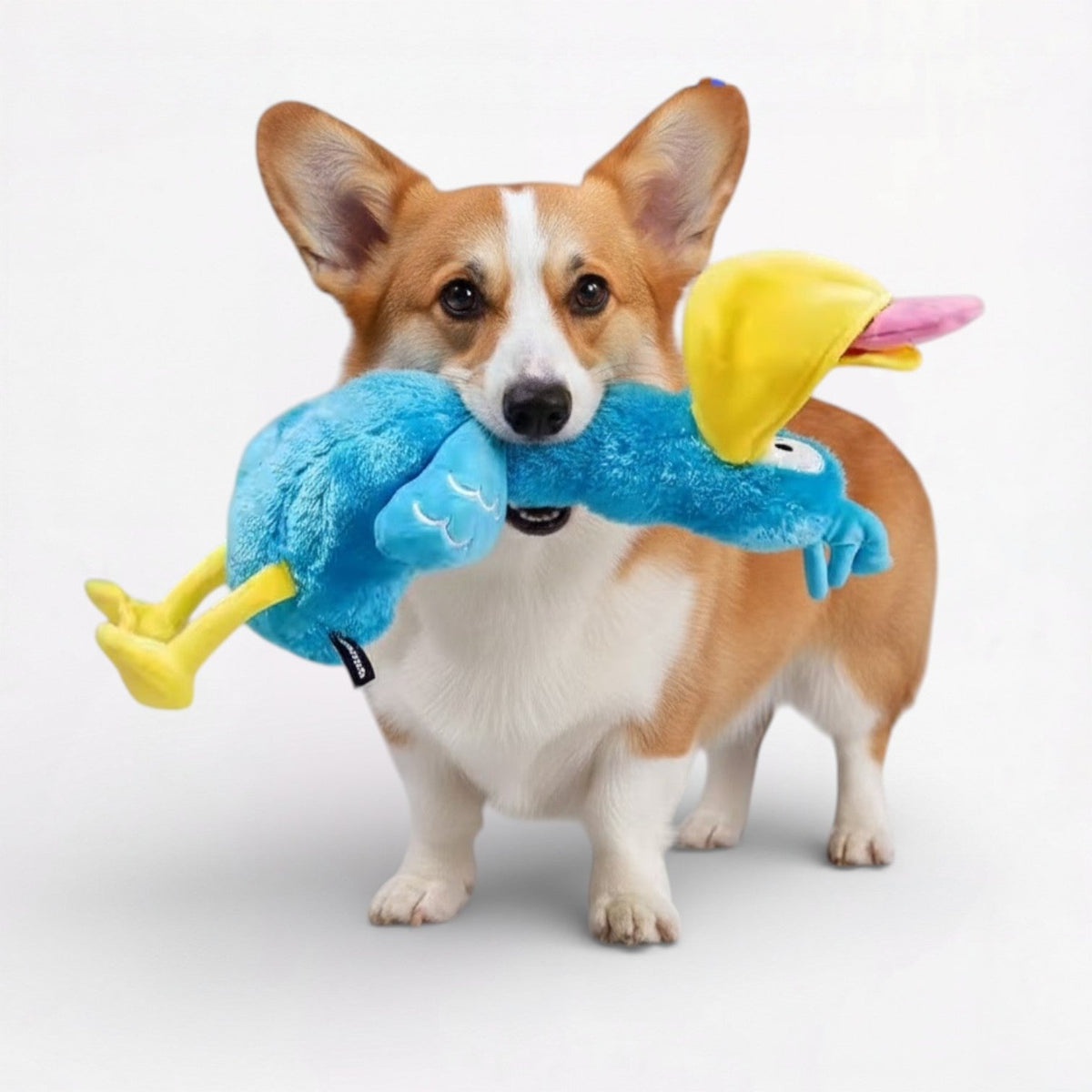 Big-DaDa-Bird-Squeaky-Dog-Toy.jpg