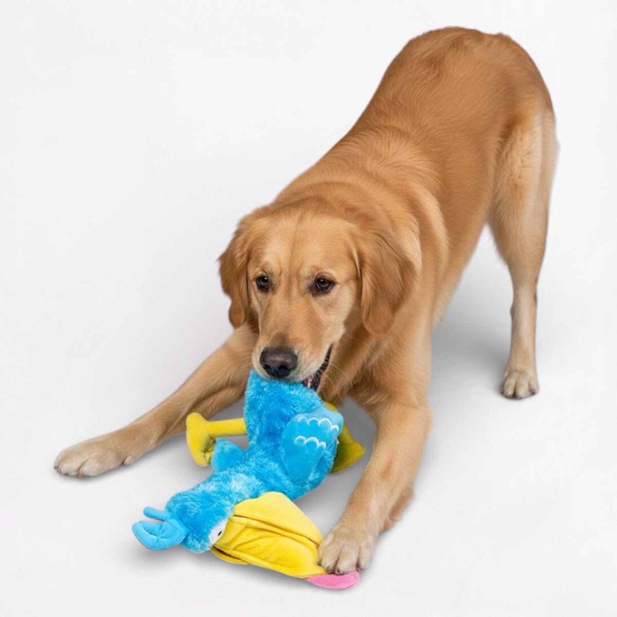 Big-DaDa-Bird-Squeaky-Dog-Toy.jpg