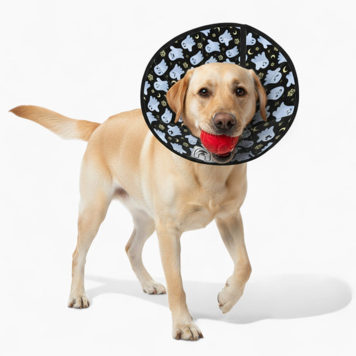 'Biscuit' Soft Dog Cone
