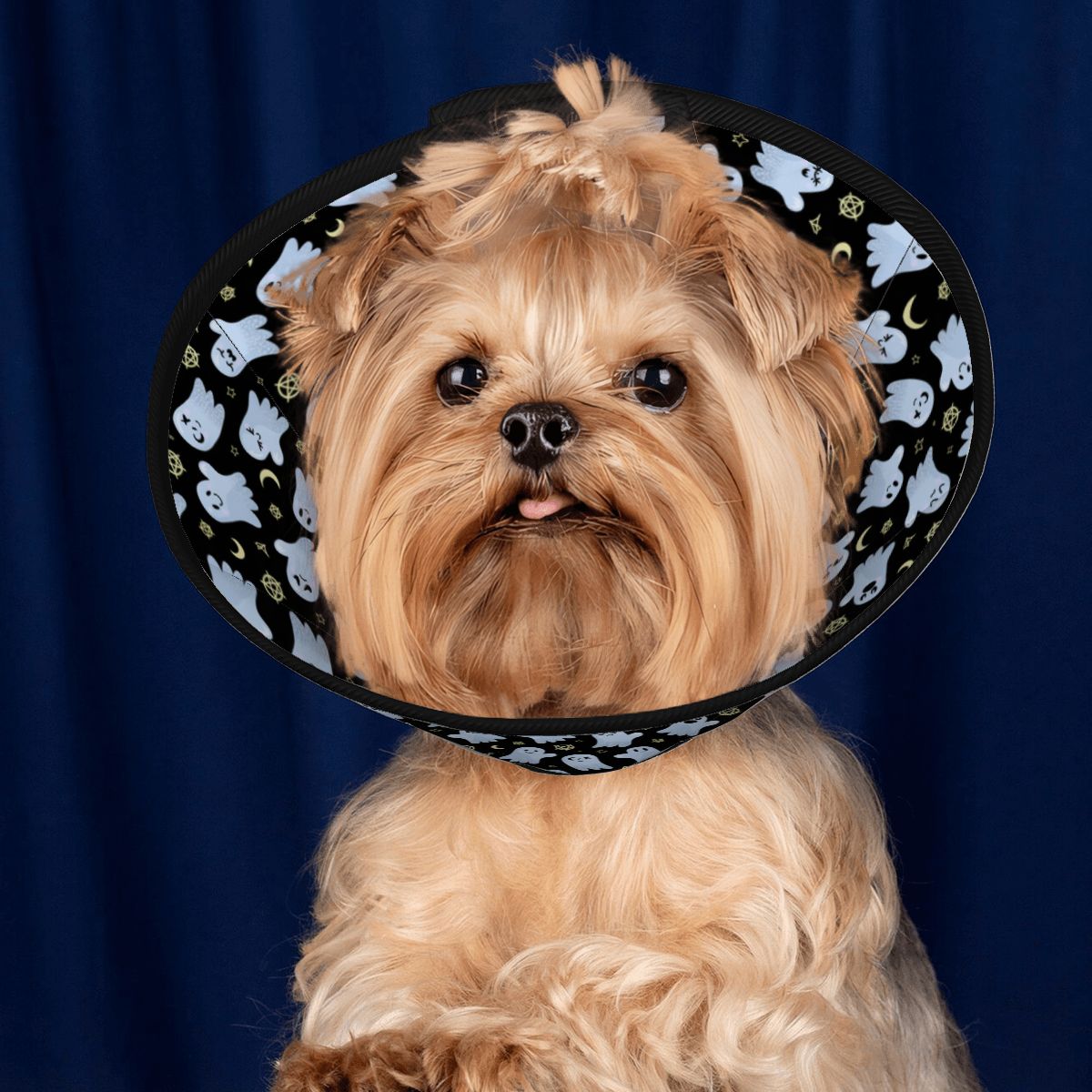 Biscuit soft cones for dogs
