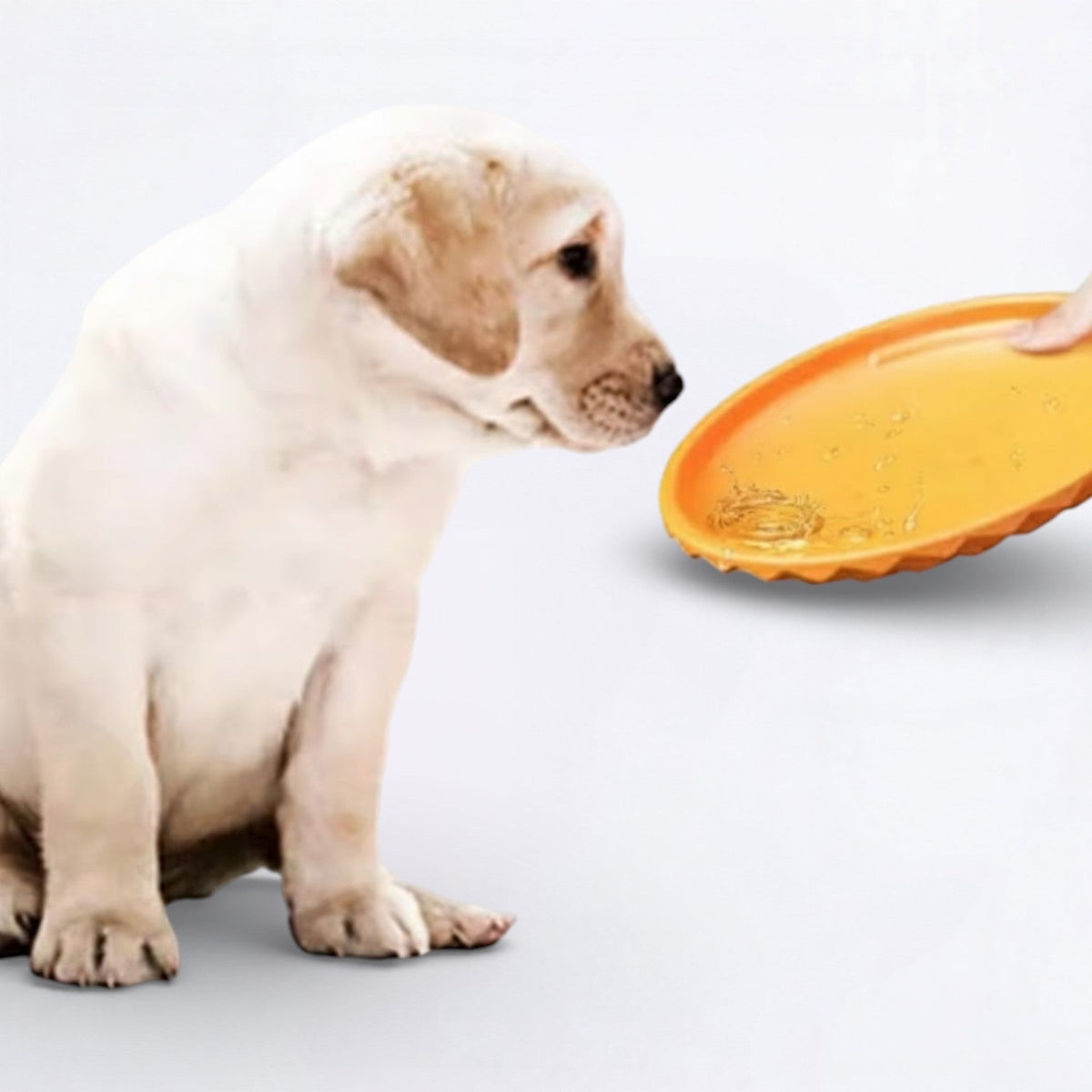 Bite-Resistant-Training-Dog-Flying-Disc.jpg
