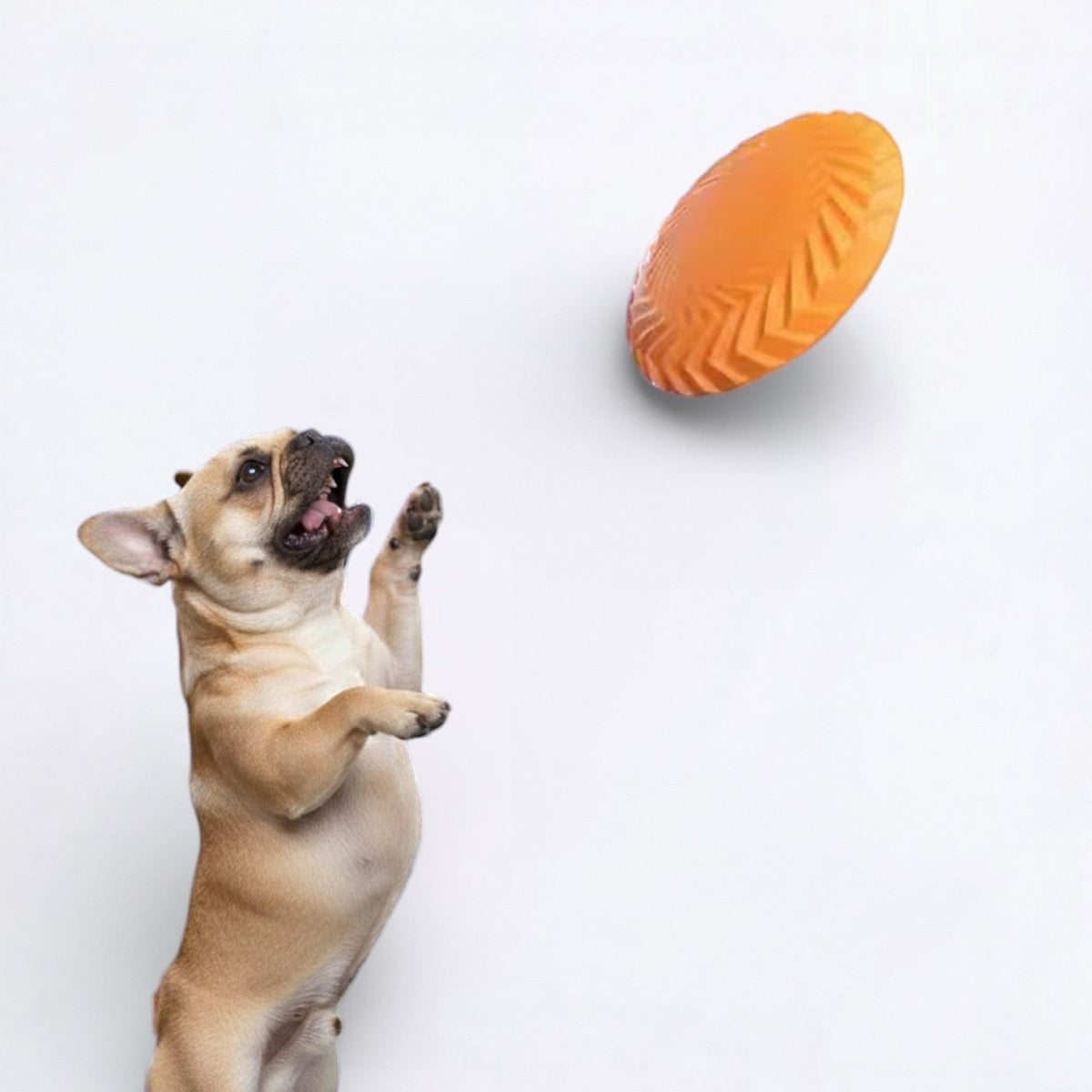 Bite-Resistant-Training-Dog-Flying-Disc.jpg
