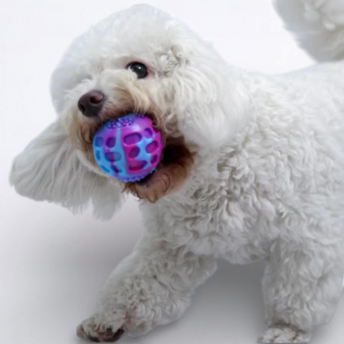 Bouncy-Dog-Chew-Ball-Toy.jpg