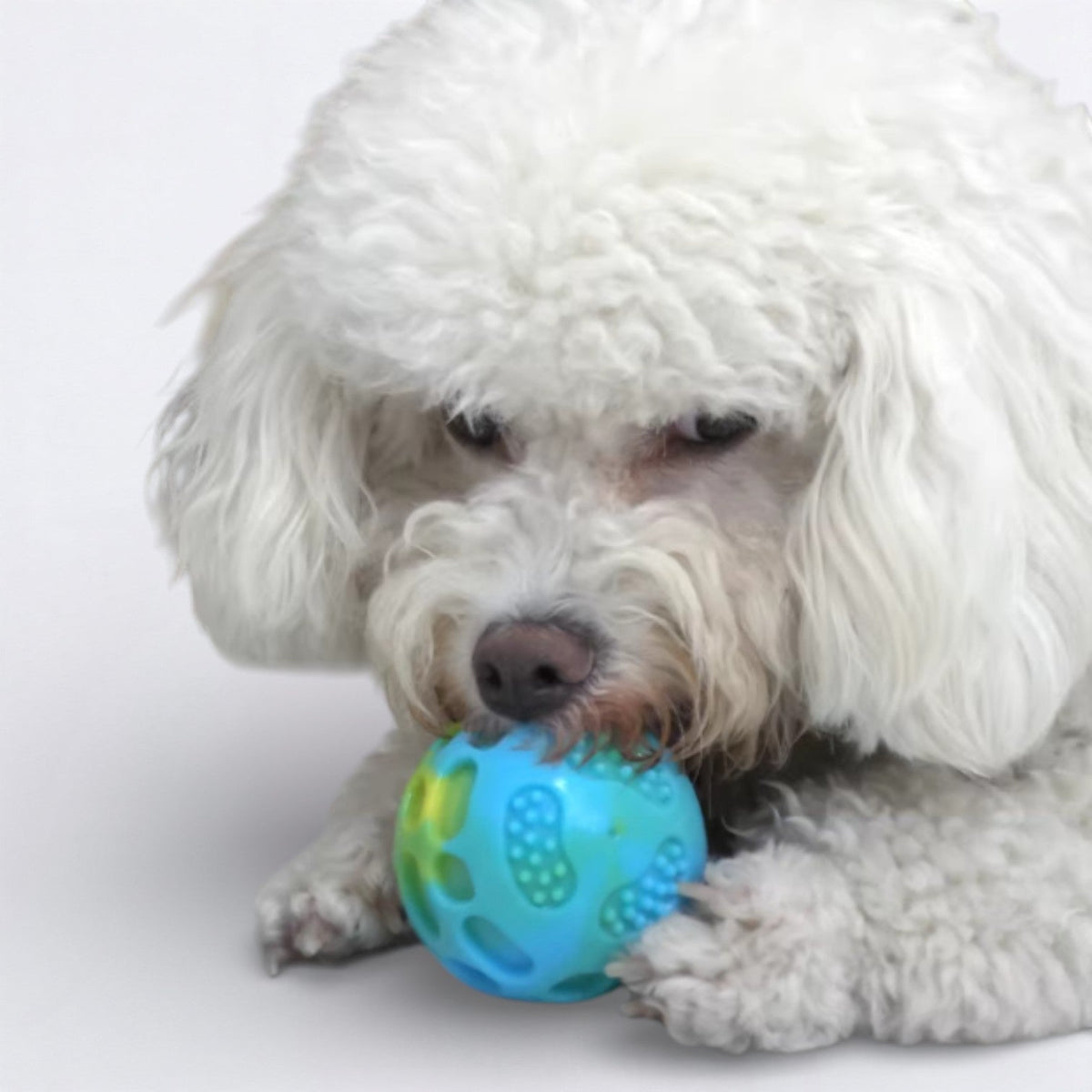 Bouncy-Dog-Chew-Ball-Toy.jpg
