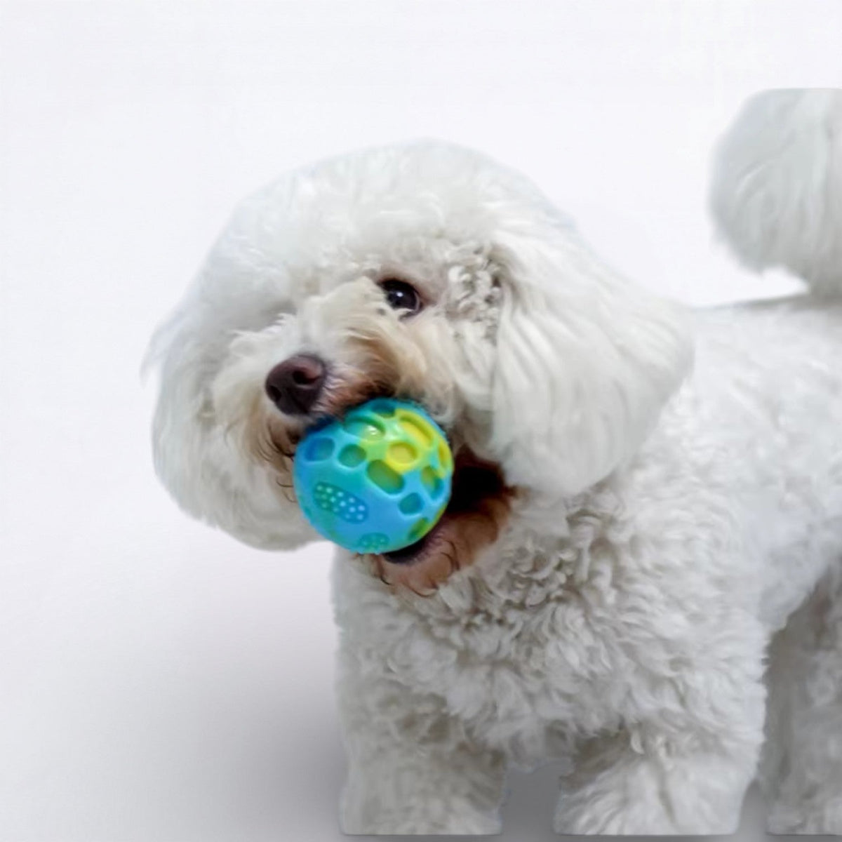 Bouncy-Dog-Chew-Ball-Toy.jpg