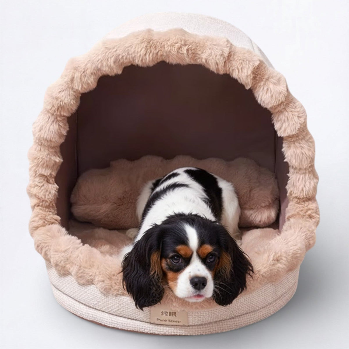 Bubble-Enclosed-Dog-Cave-Bed.jpg