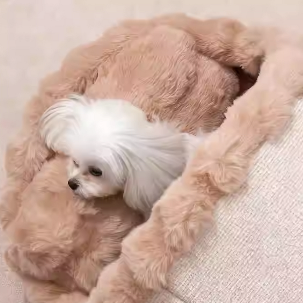 Bubble-Enclosed-Dog-Cave-Bed.jpg