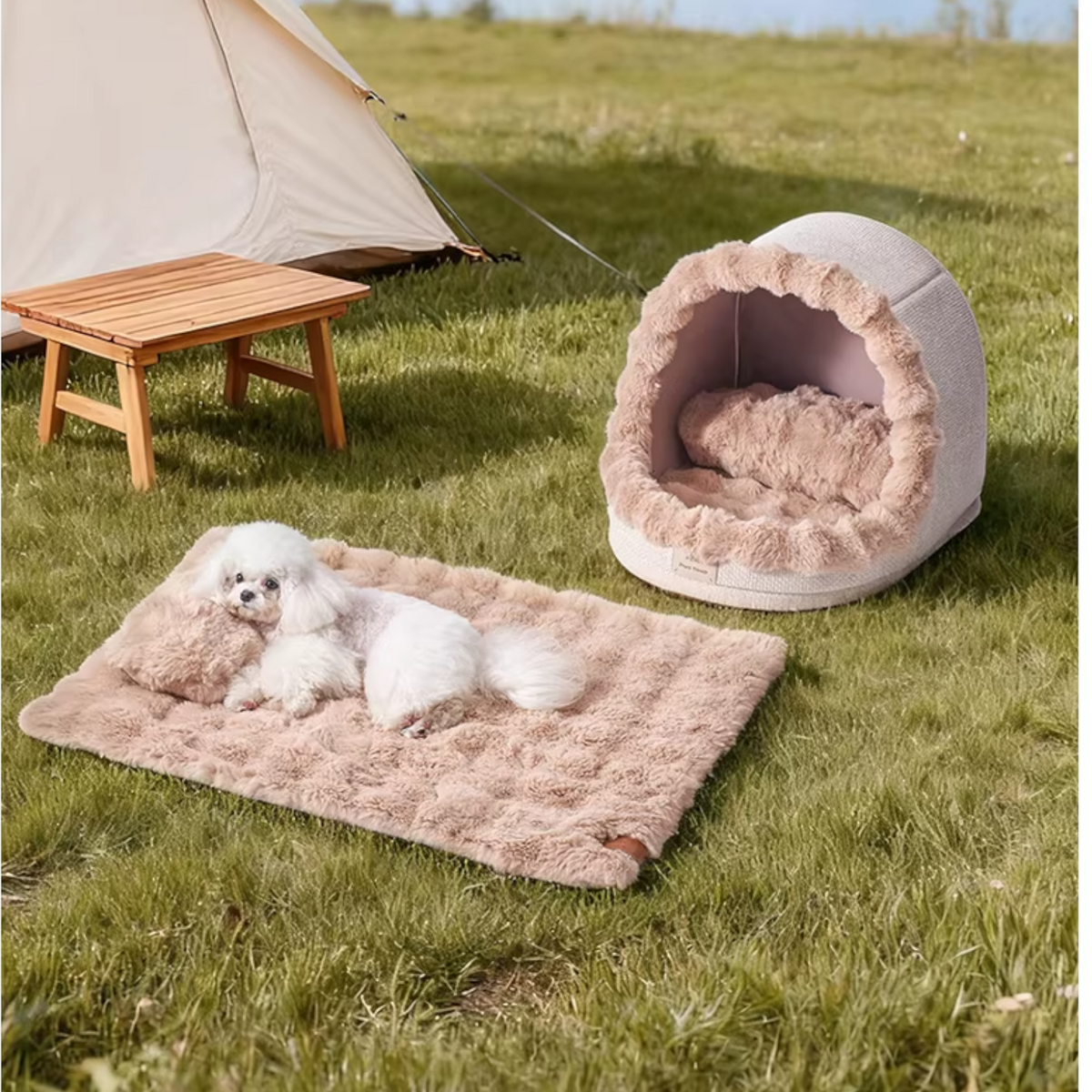 Bubble-Enclosed-Dog-Cave-Bed.jpg