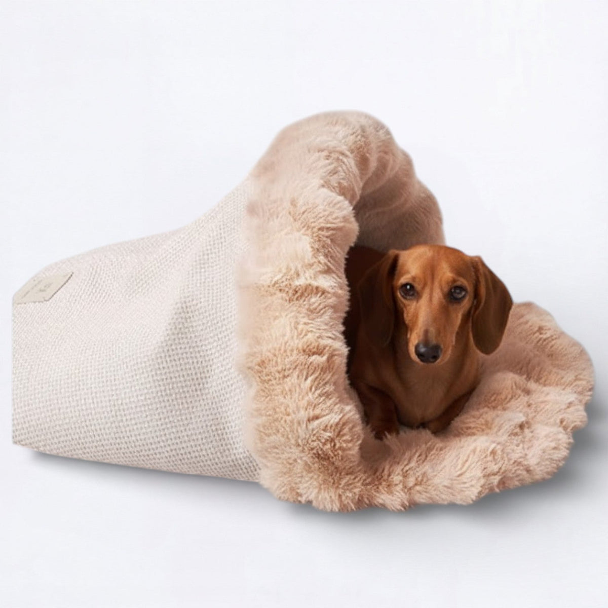 Bubble-Plush-Sleeping-Dog-Bed.jpg