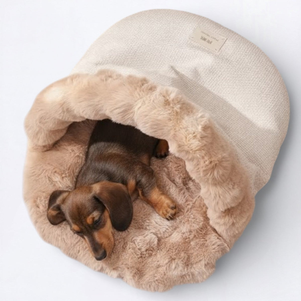 Bubble-Plush-Sleeping-Dog-Bed.jpg
