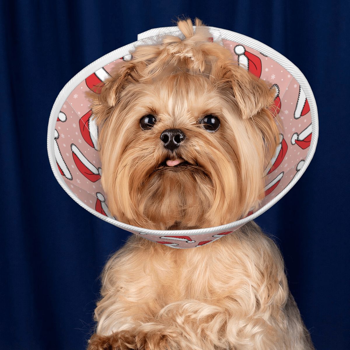 'Buddy' soft dog cone
