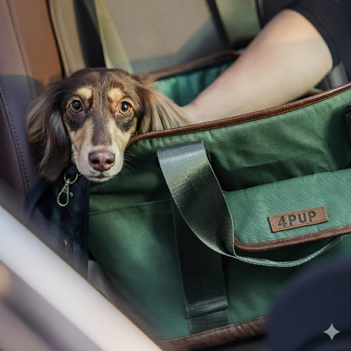 Canvas-Outing-Dog-Backpack-Carrier.jpg
