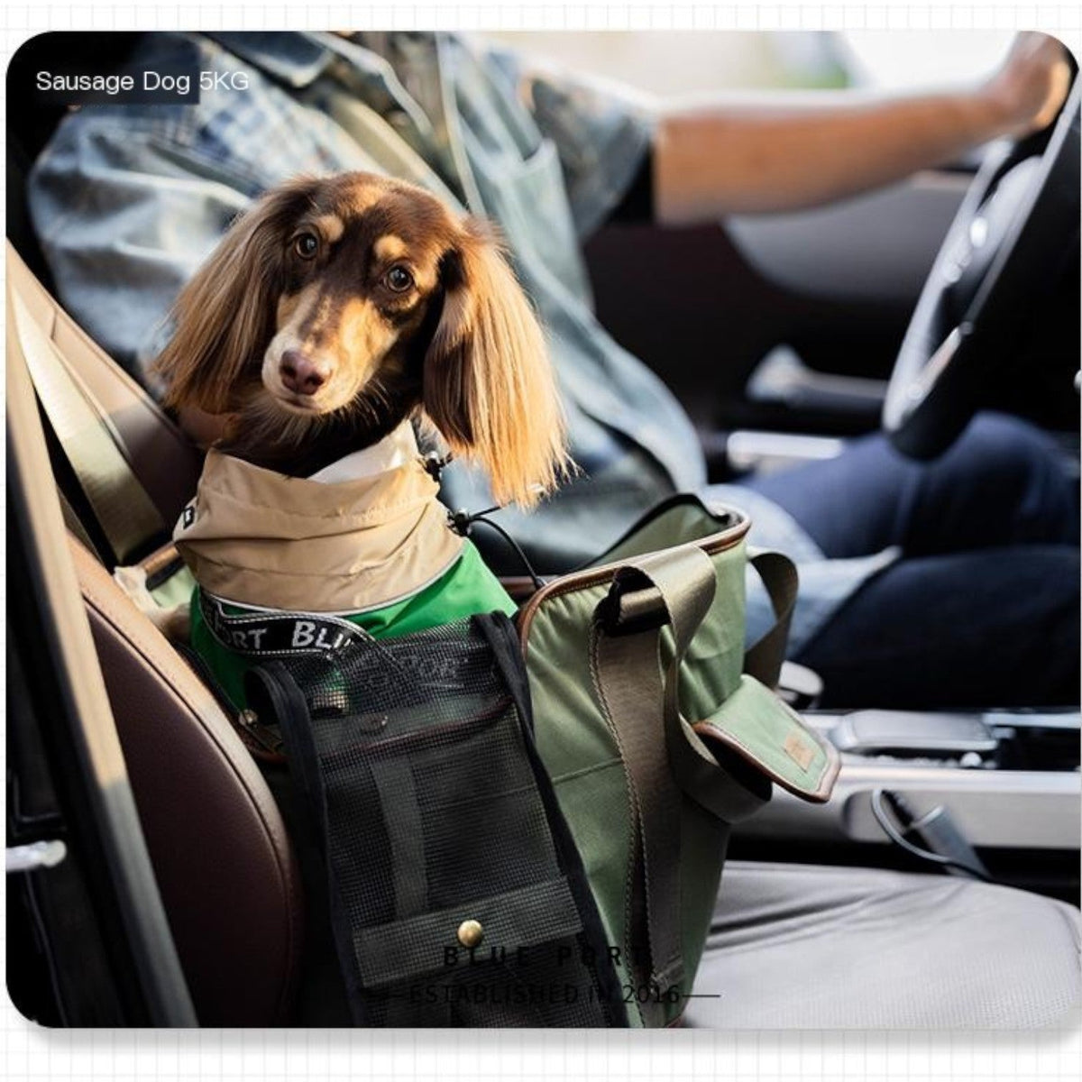 Canvas-Outing-Dog-Backpack-Carrier.jpg