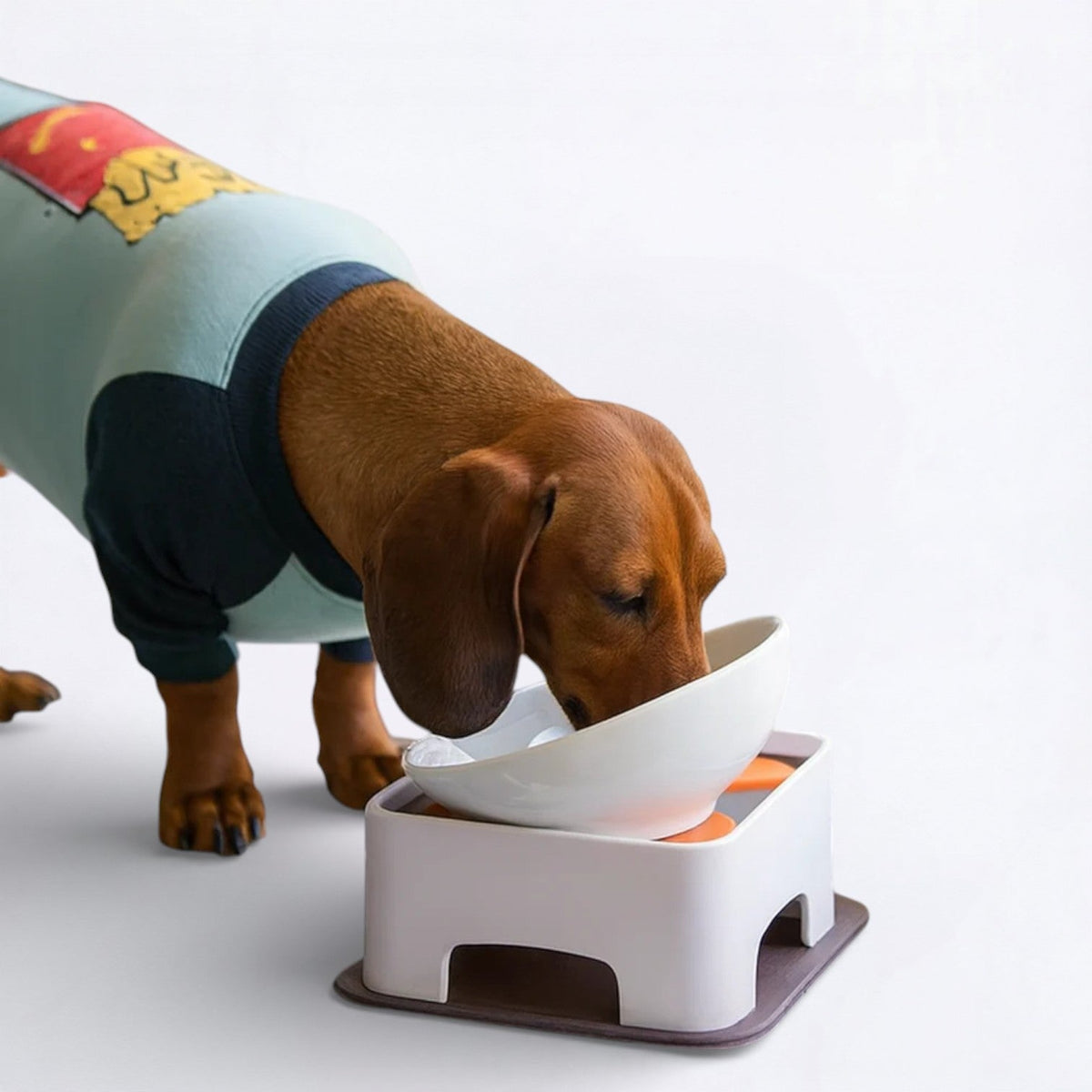 Ceramic-Dog-Food-Bowl.jpg