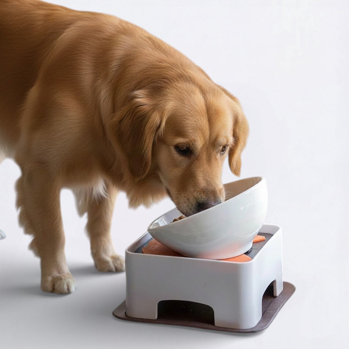 Ceramic-Dog-Food-Bowl.jpg