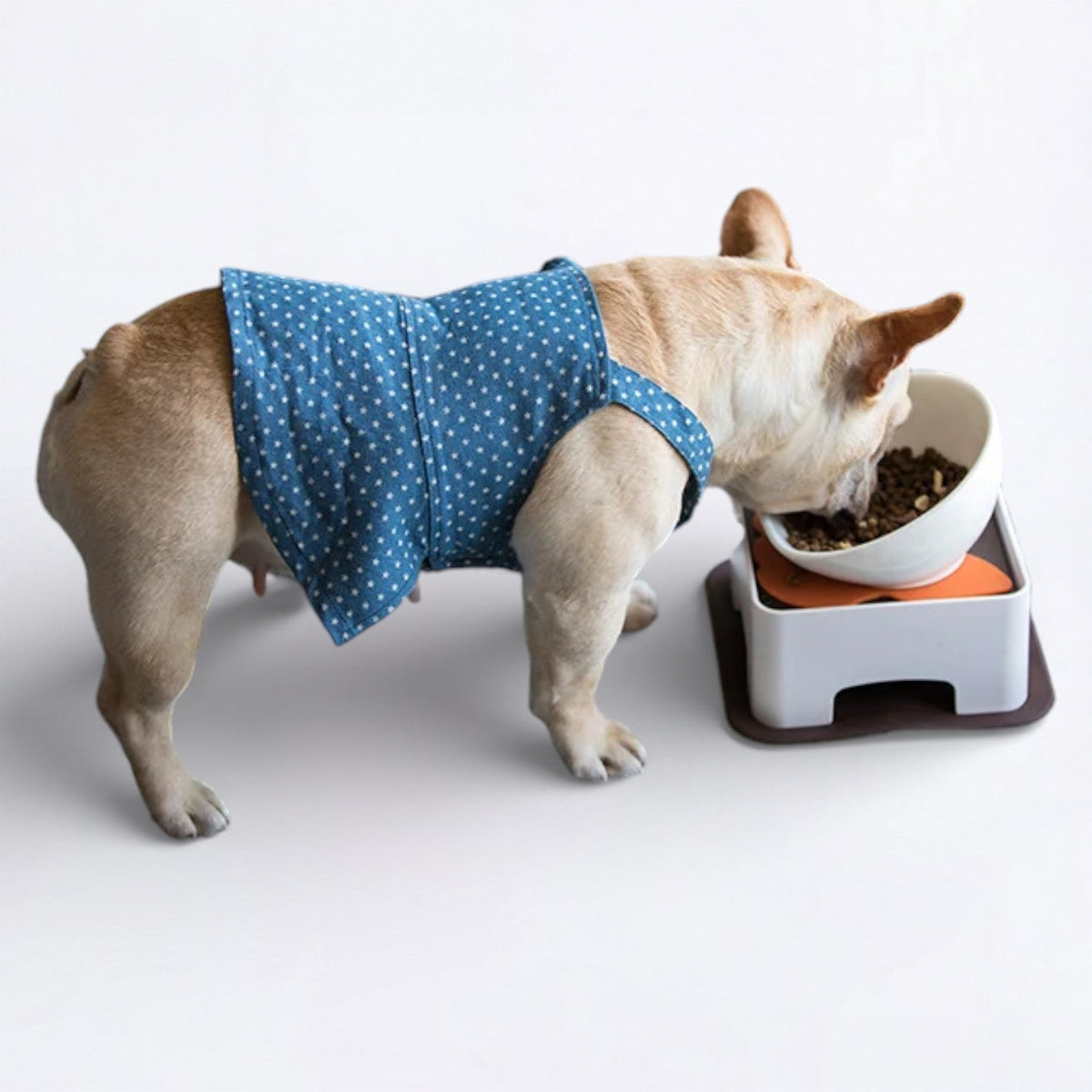 Ceramic-Dog-Food-Bowl.jpg