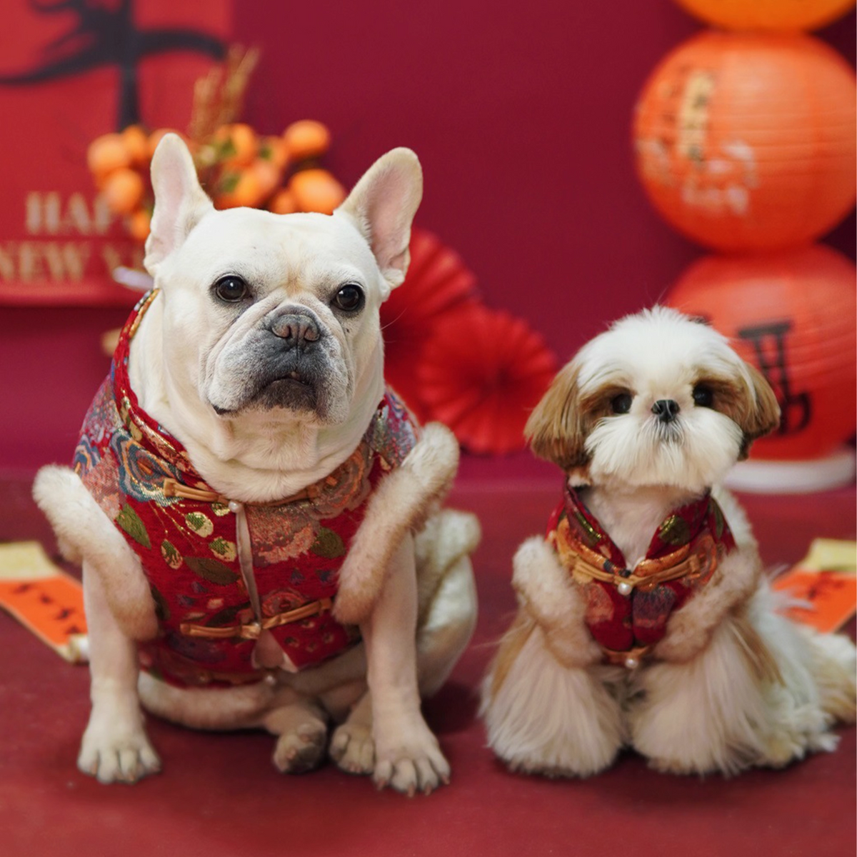 Classic-Traditional-Dog-Vest.jpg