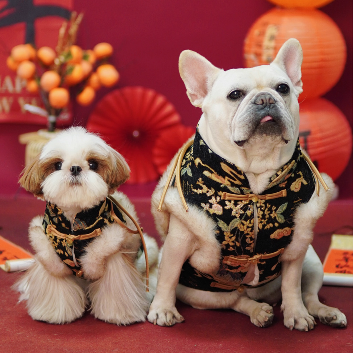 Classic-Traditional-Dog-Vest.jpg