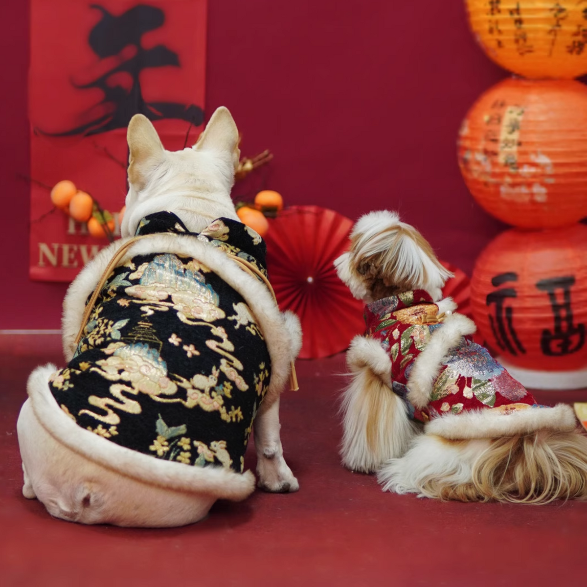 Classic-Traditional-Dog-Vest.jpg