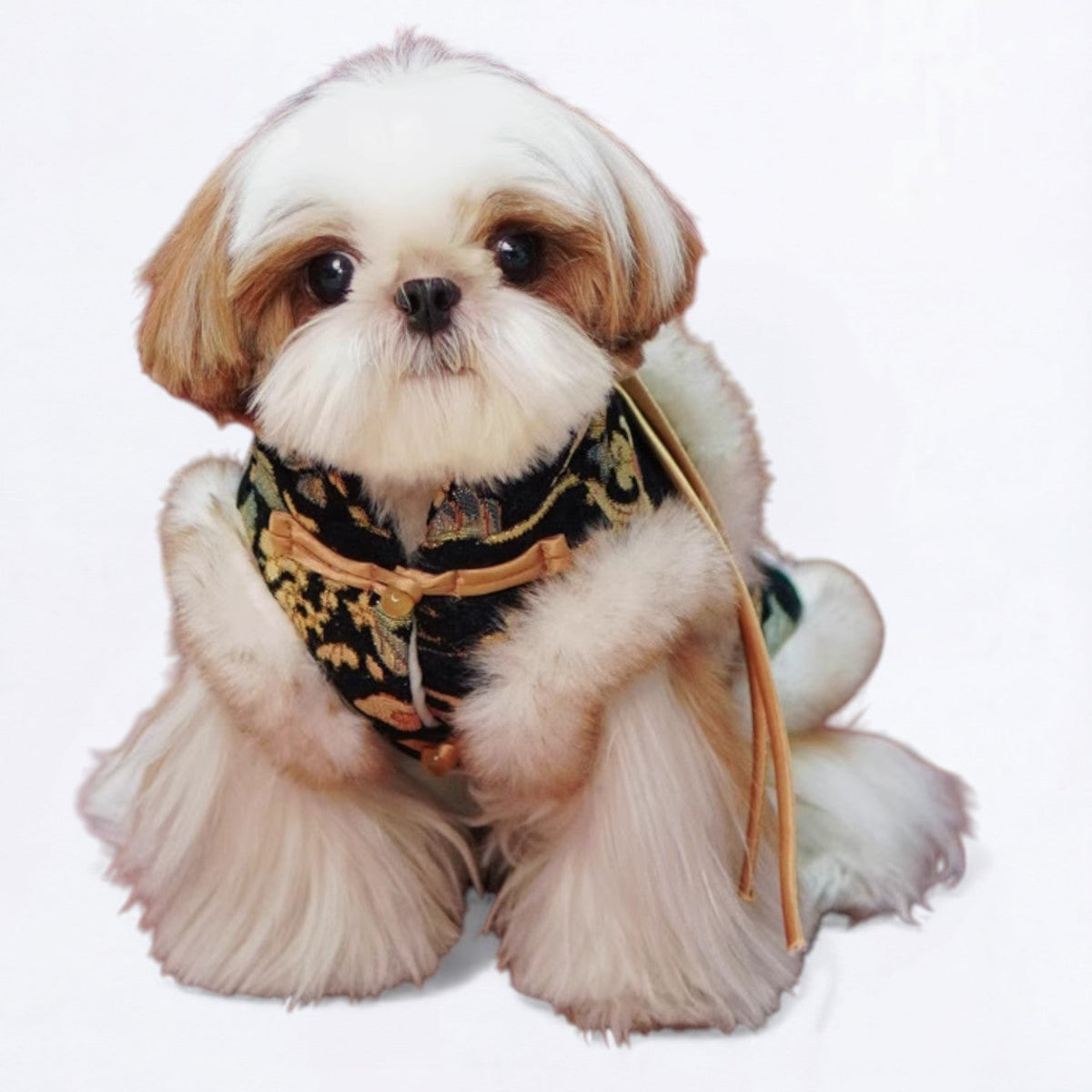 Classic-Traditional-Dog-Vest.jpg
