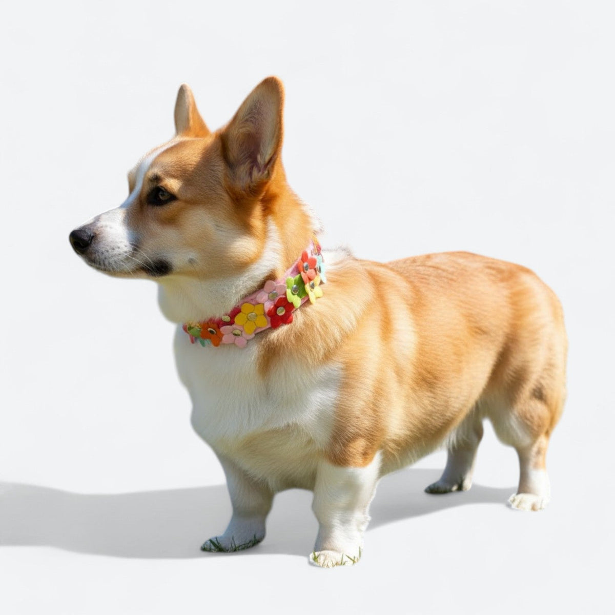 Colorful-Flower-Leather-Dog-Collar.jpg