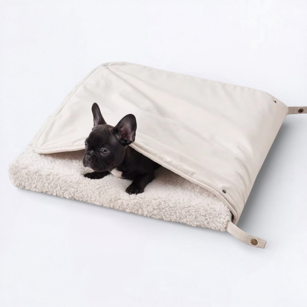 Convertible-Foldable-Dog-Tent-Bed.jpg