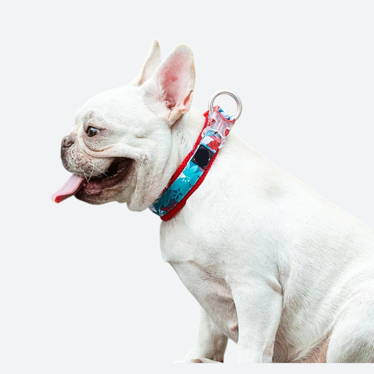 Cotton-Padded-Dog-Floral-Collar.jpg
