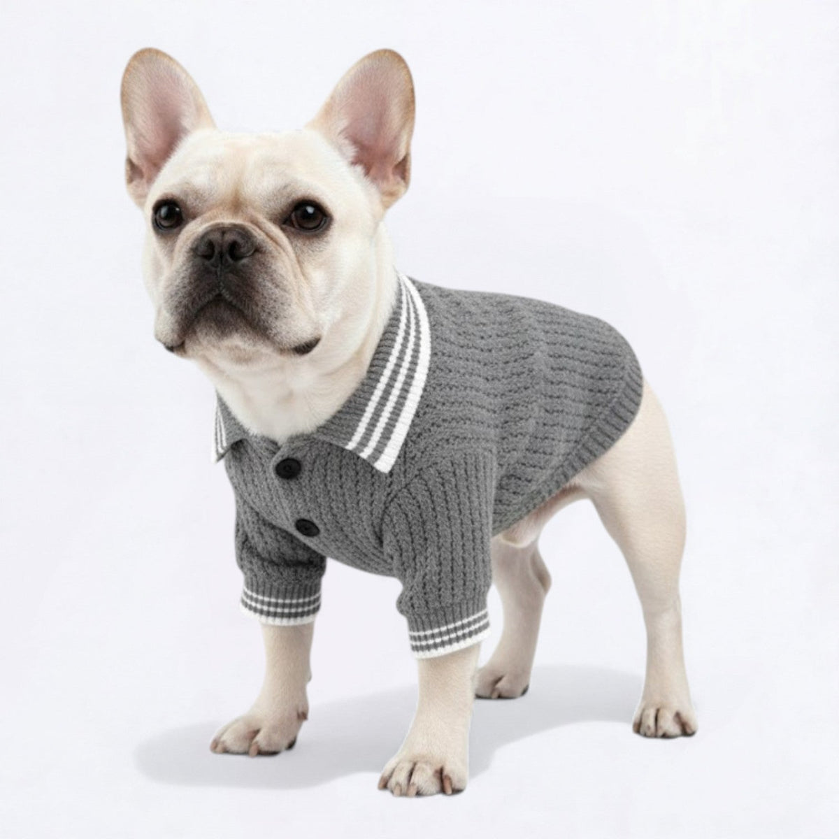Cozy-Knit-Dog-Polo-Sweater.jpg