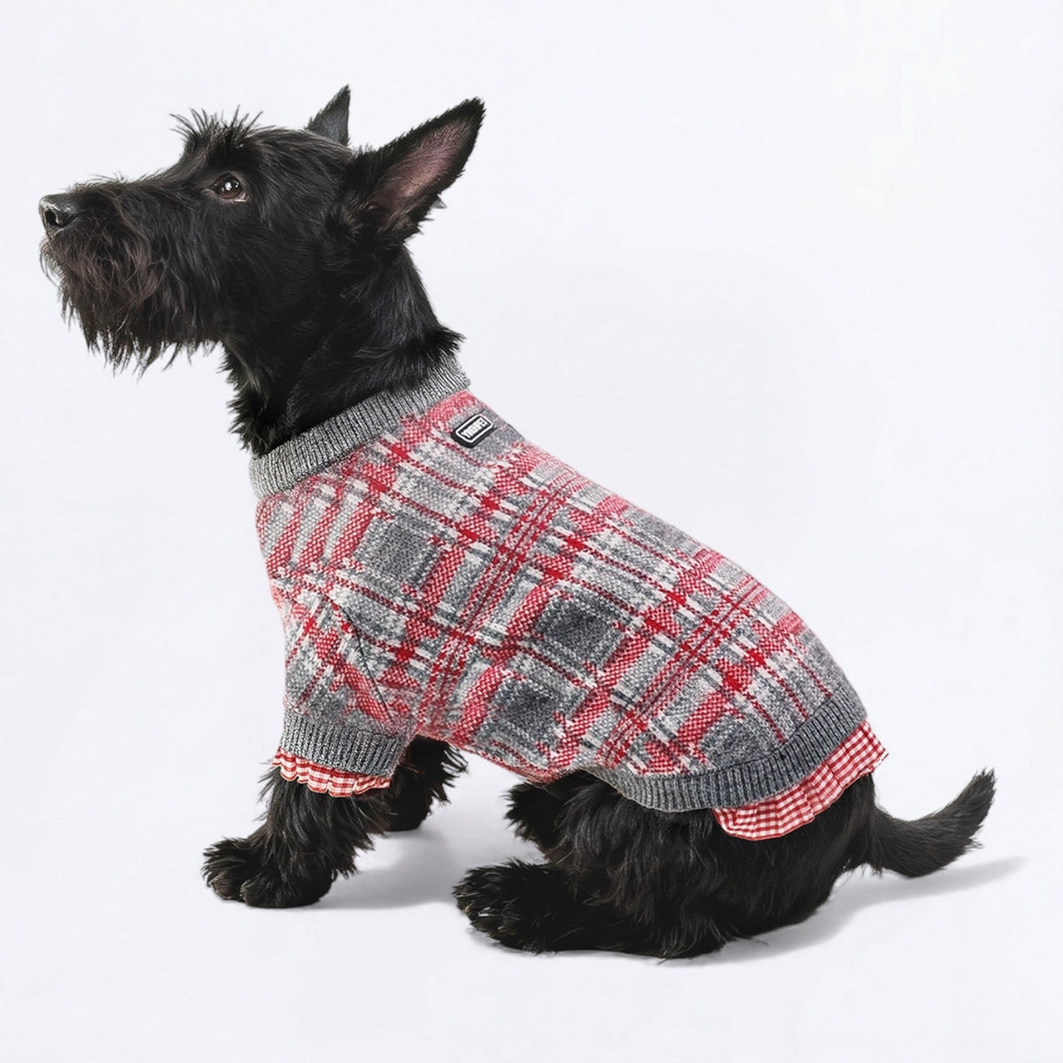 Cozy-Plaid-Ruffle-Dog-Sweater.jpg