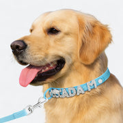Custom glitter dog collar and leash set