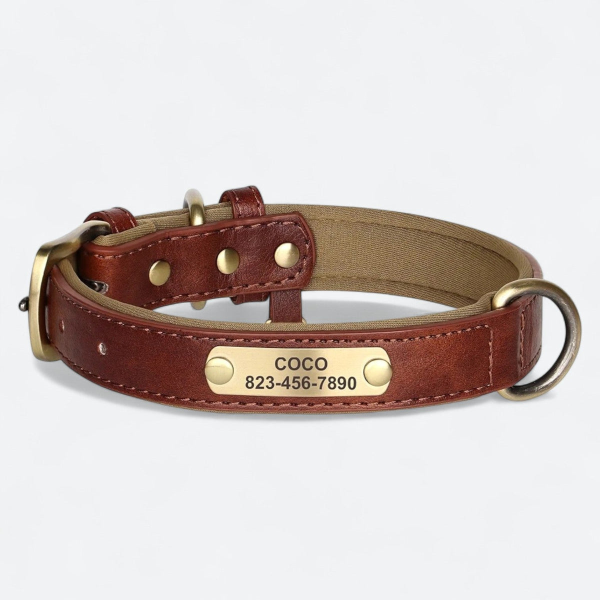 Engraved leather dog collar with custom name and number