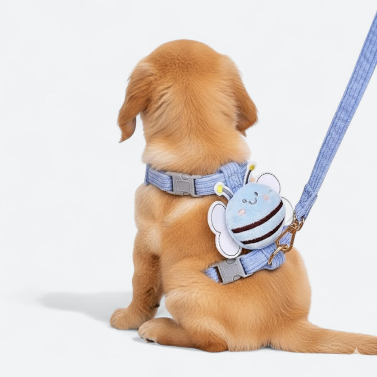 Cute-Bee-Dog-Harness-Leash-Set.jpg