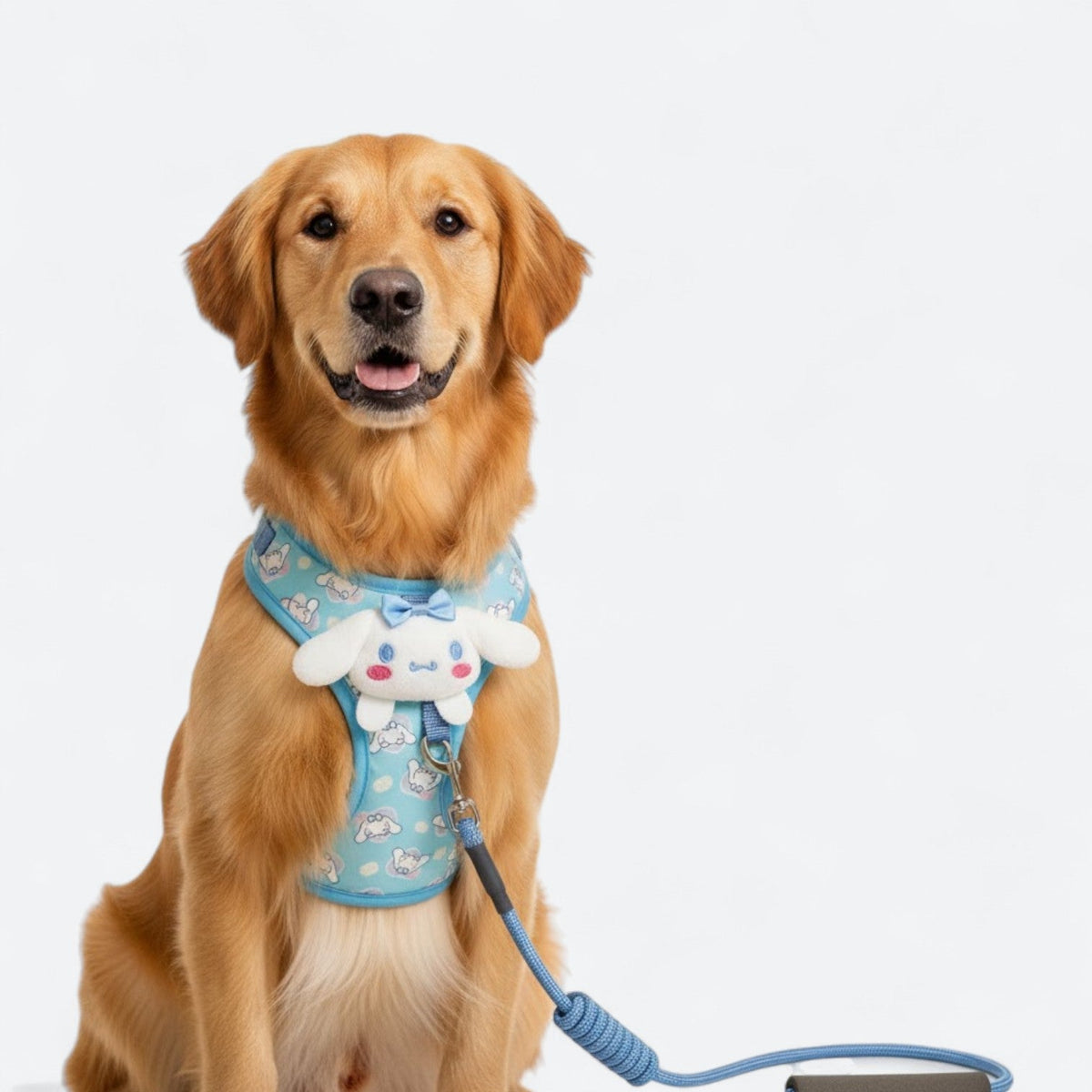 Cute-Cartoon-Dog-Harness-Leash-Set.jpg