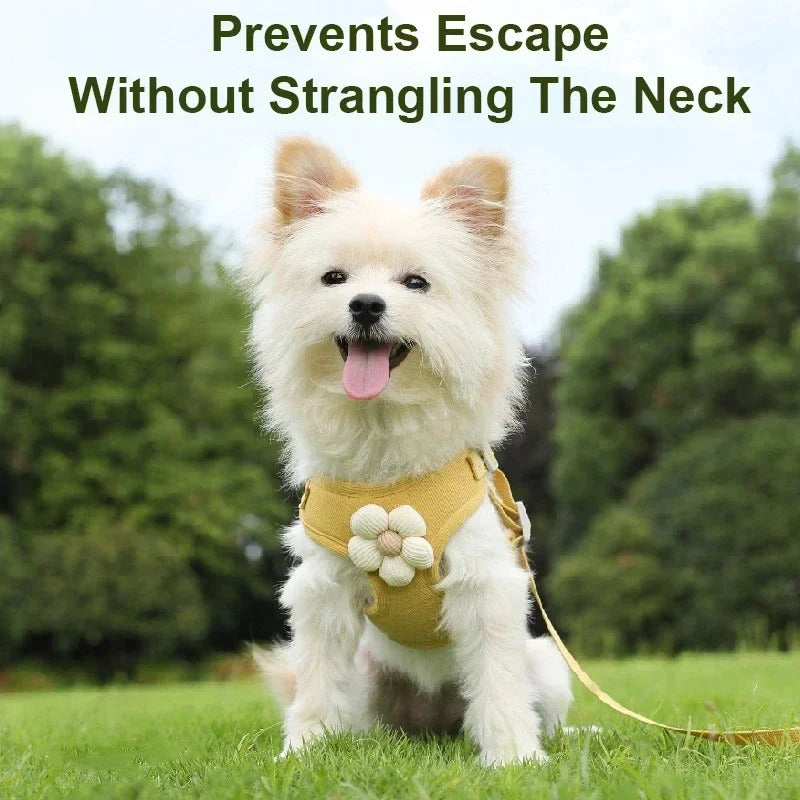Cute-Flower-Dog-Harness-Leash-Set.jpg