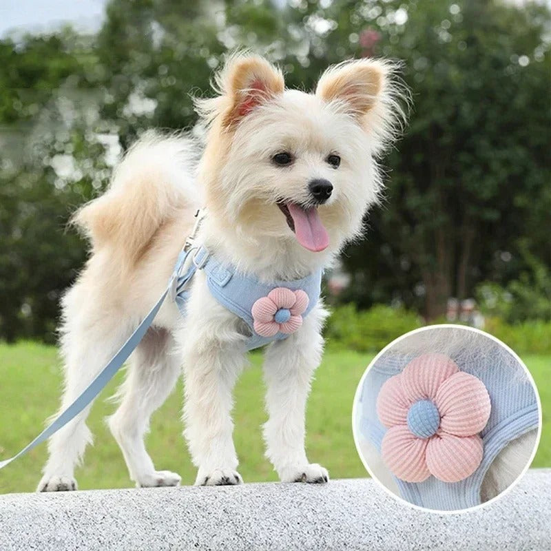 Cute-Flower-Dog-Harness-Leash-Set.jpg