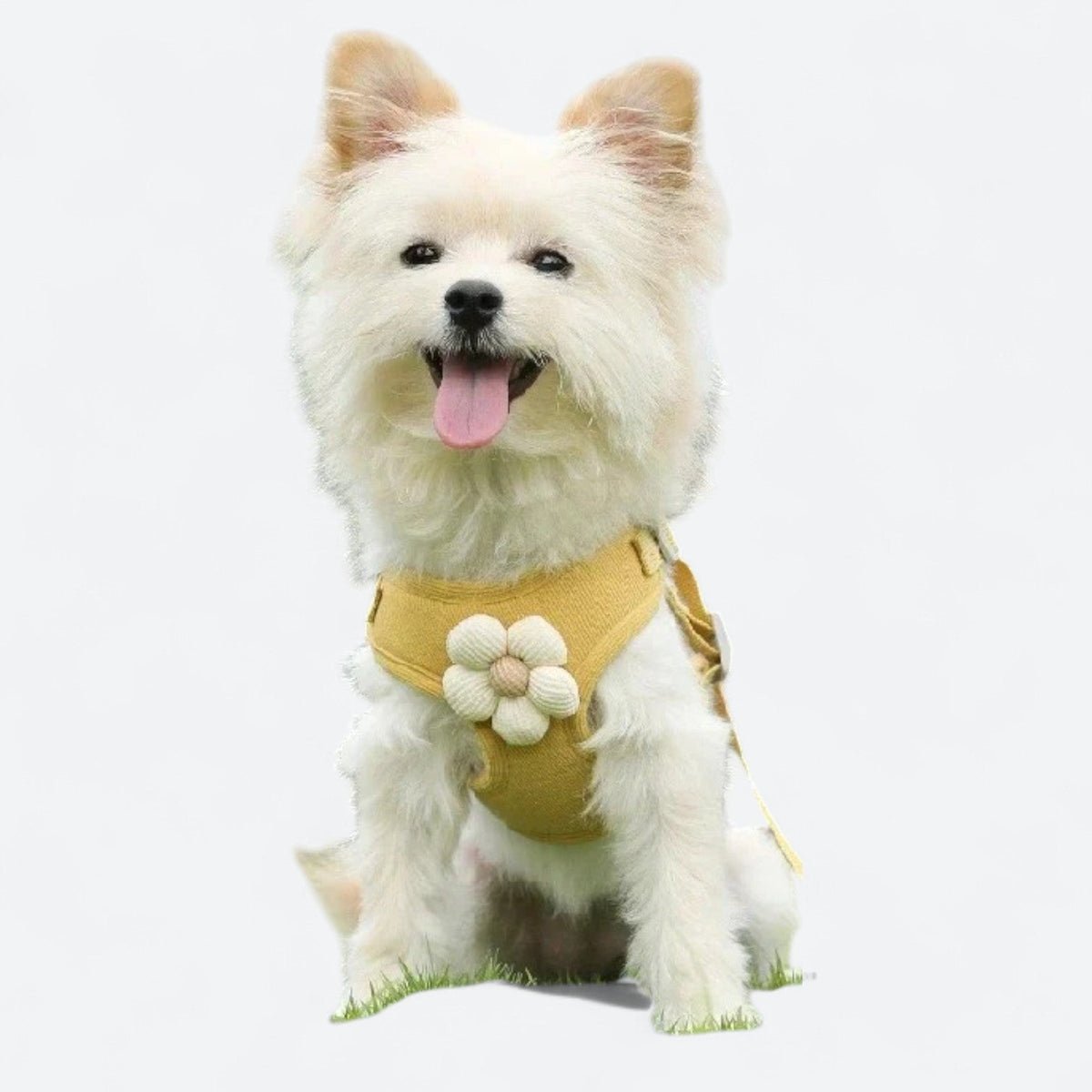 Cute-Flower-Dog-Harness-Leash-Set.jpg