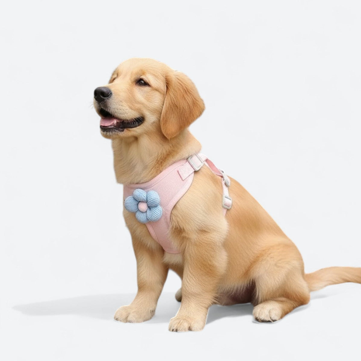 Cute-Flower-Dog-Harness-Leash-Set.jpg