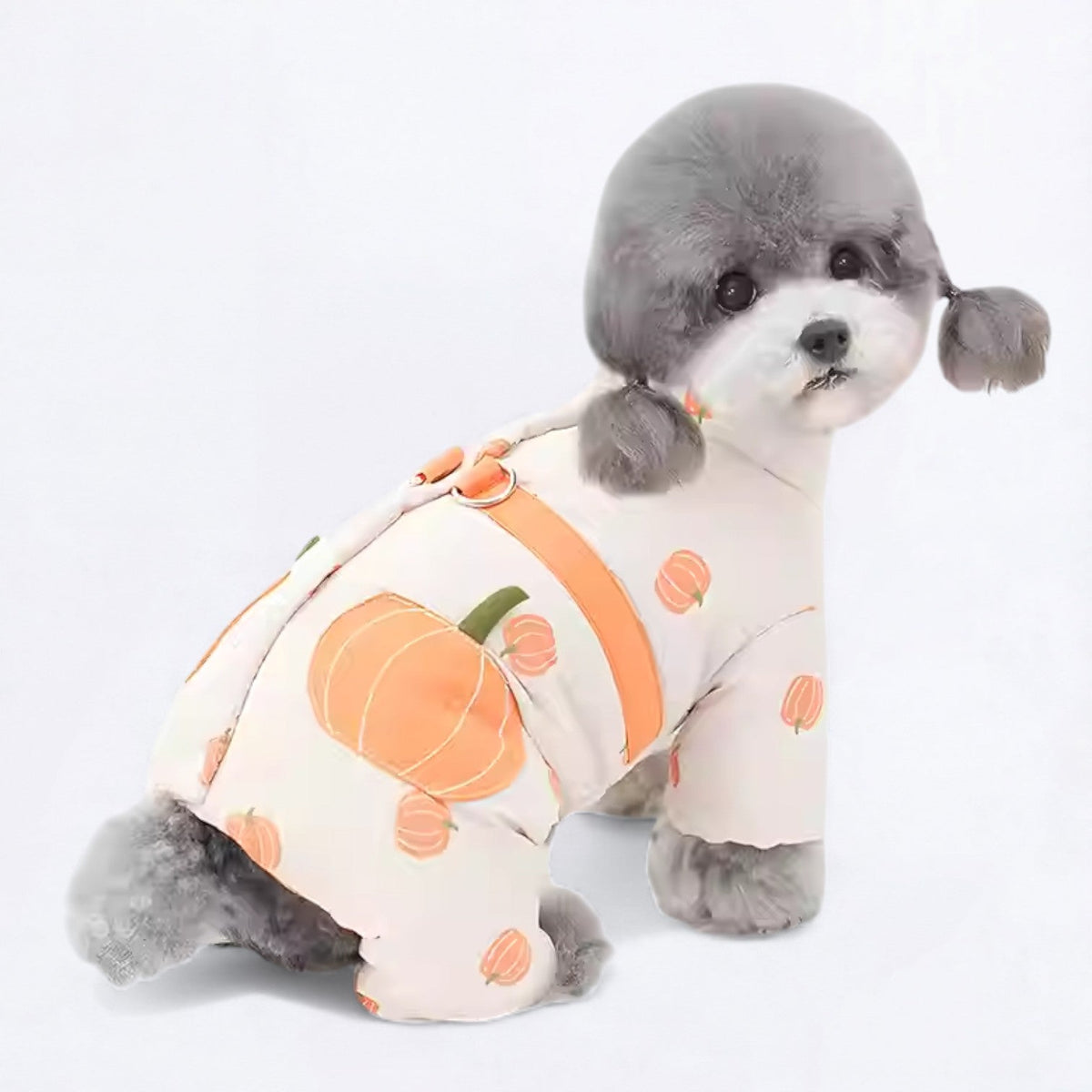 Cute-Fruit-Print-Dog-Jacket.jpg