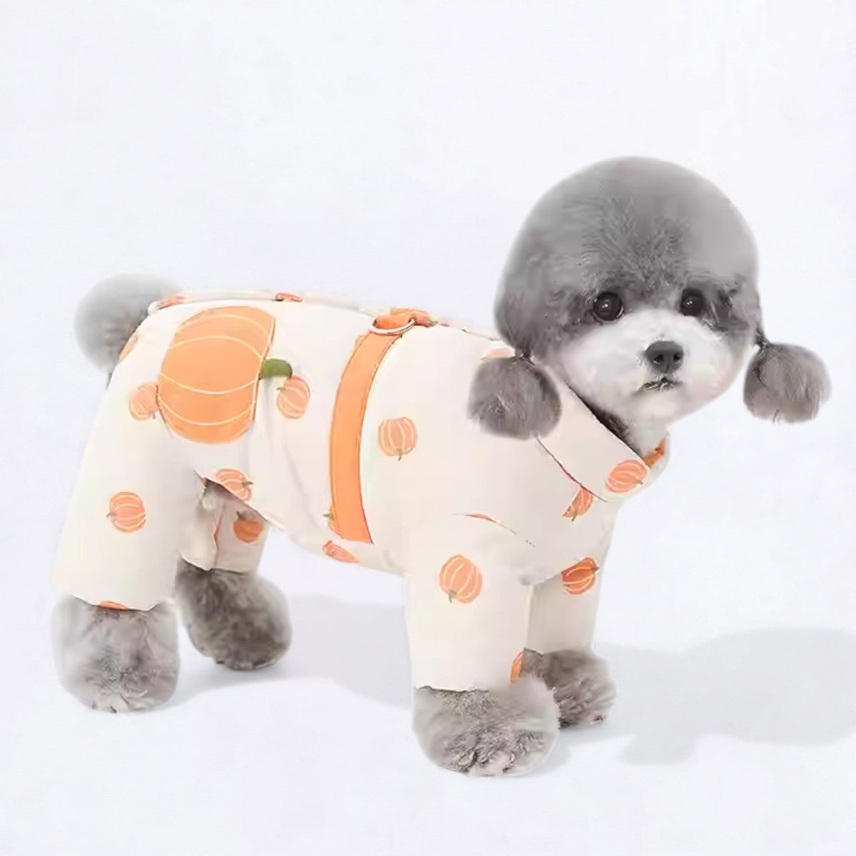 Cute-Fruit-Print-Dog-Jacket.jpg