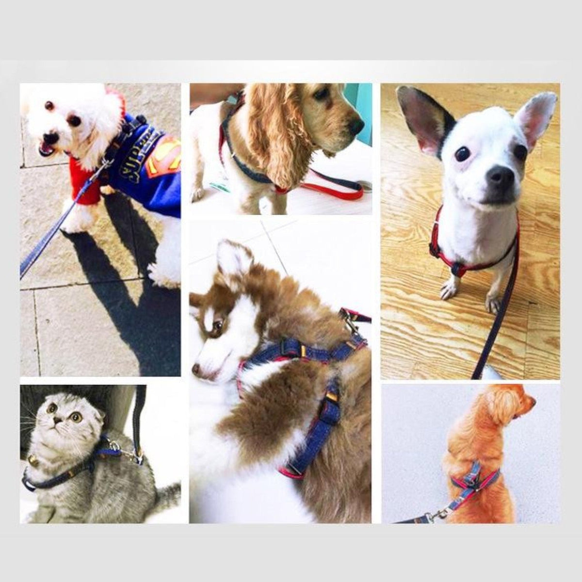 Denim-Dog-Harness-Collar-Set.jpg