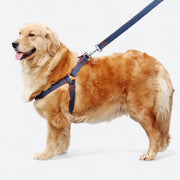 Denim dog harness and collar set
