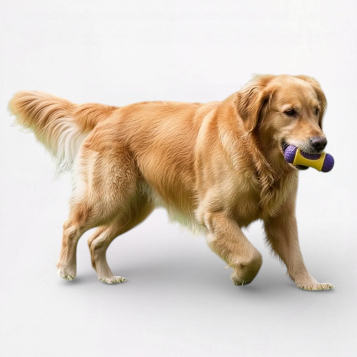 Dental-Chew-Stick-Dog-Toy.jpg