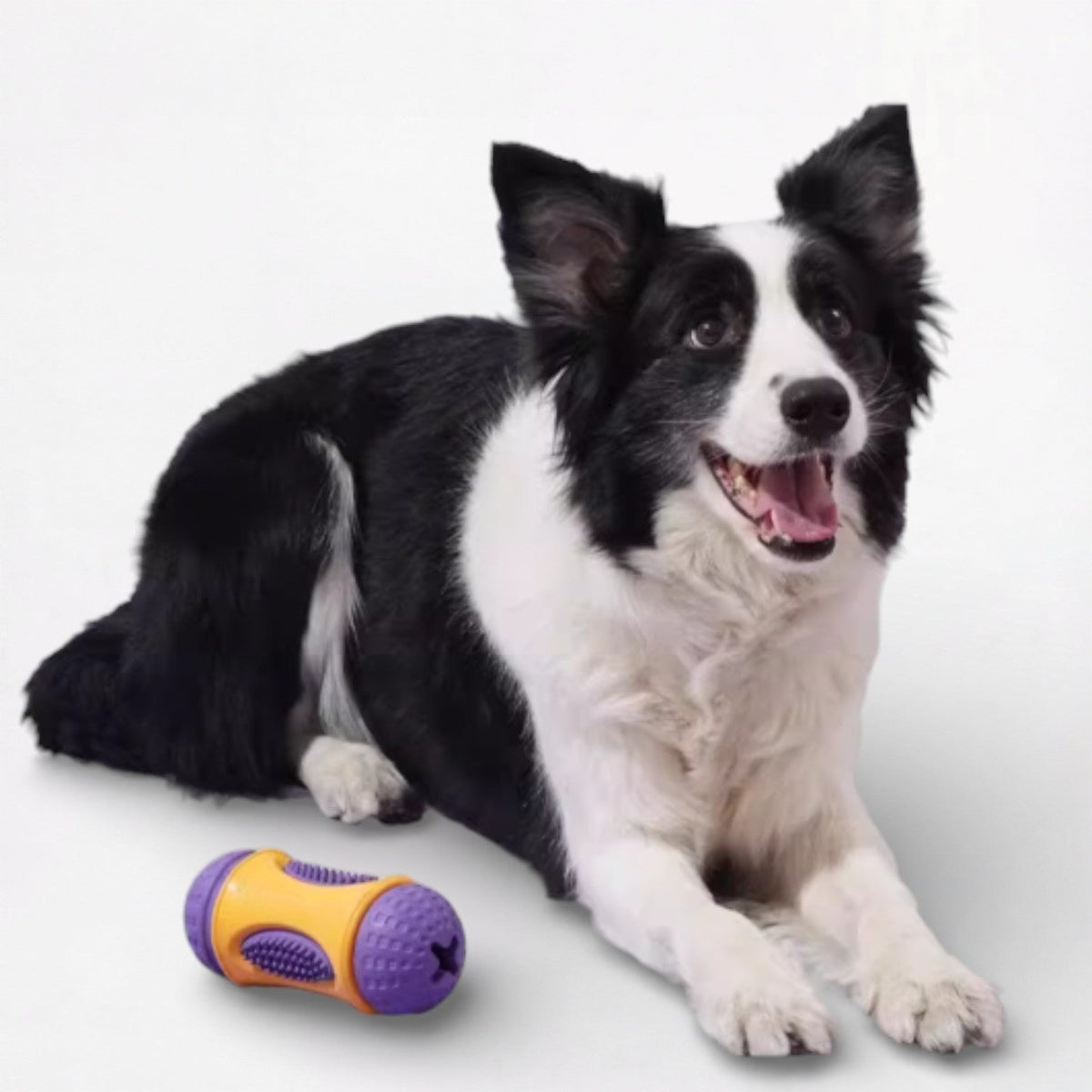 Dental-Chew-Stick-Dog-Toy.jpg