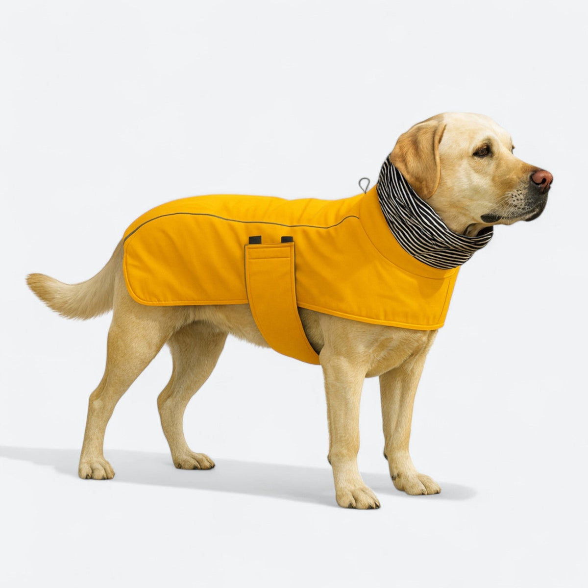 Reflective Winter Iggy Jacket