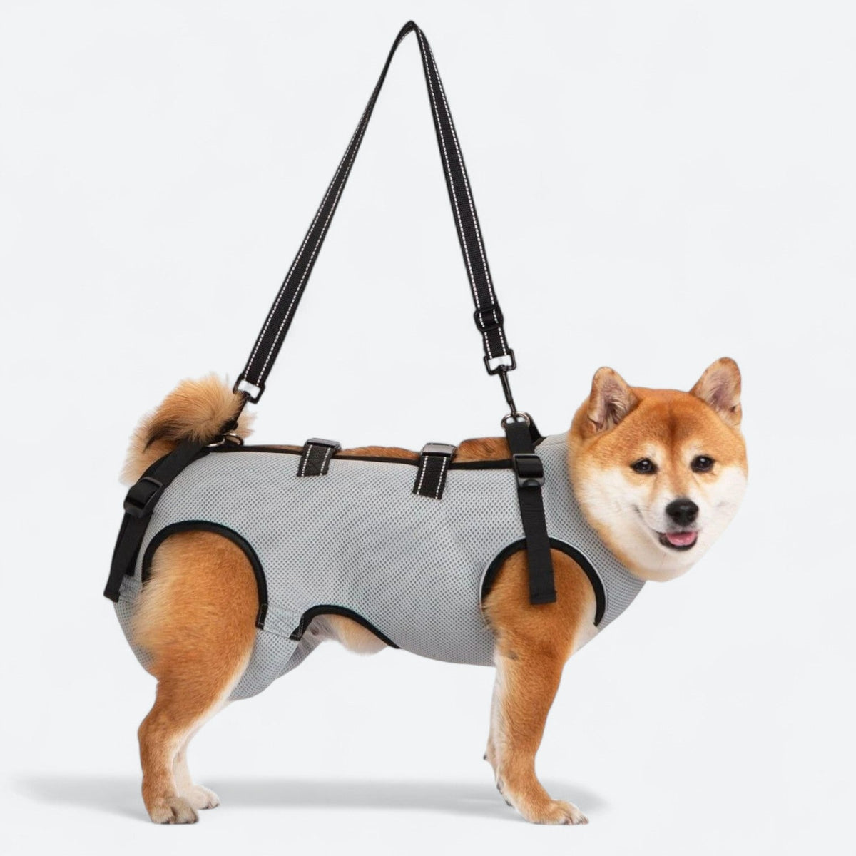 Dog-Lift-Harness-for-Injured-Dogs