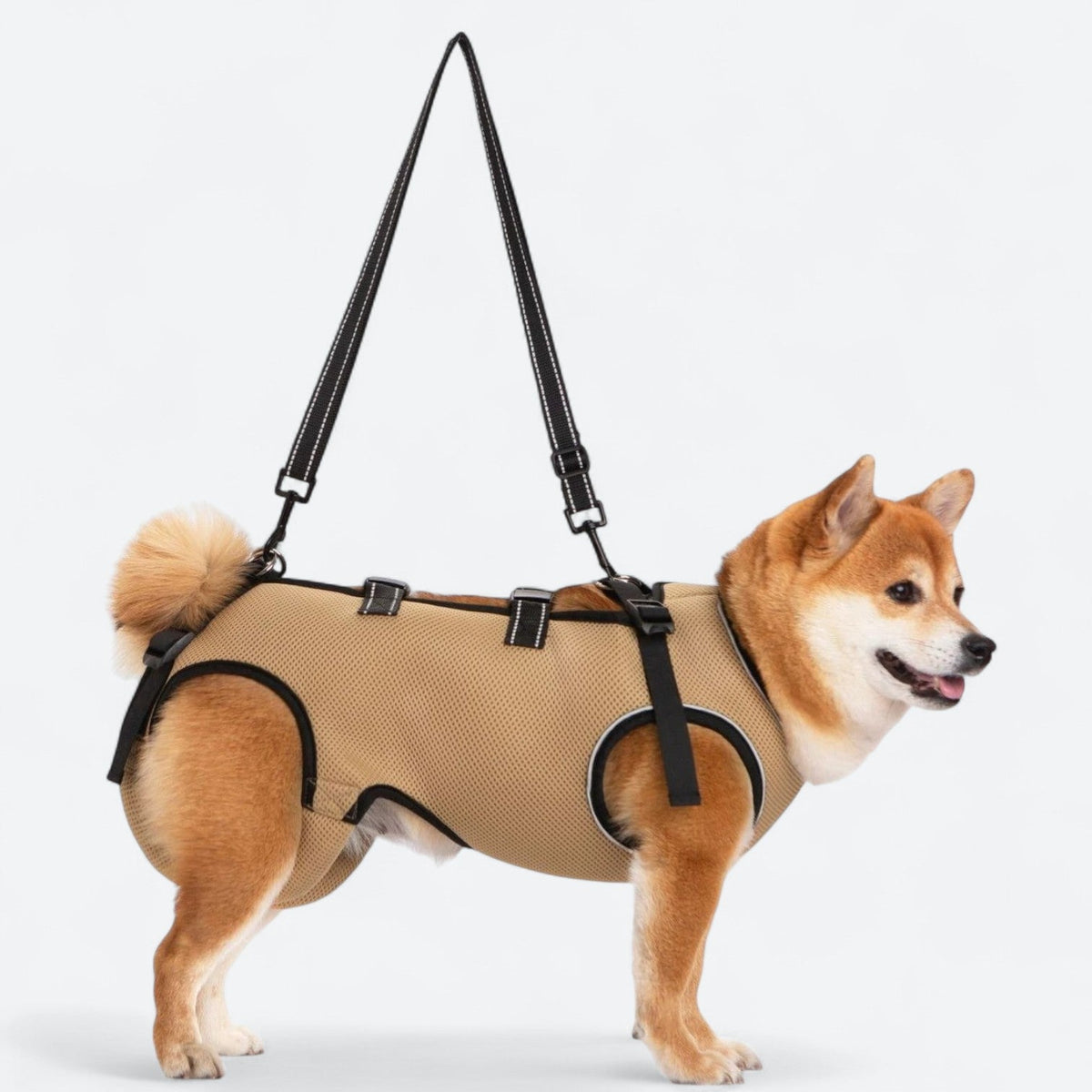 Dog-Lift-Harness-for-elderly-Dogs